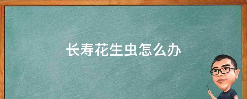 长寿花生虫怎么办 长寿花生了粘虫怎么办