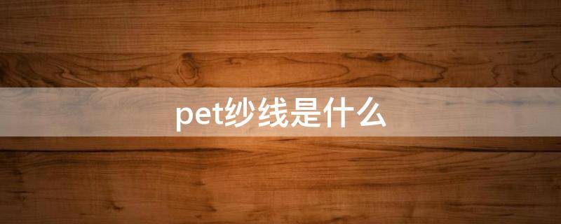 pet纱线是什么（pet网纱是什么）