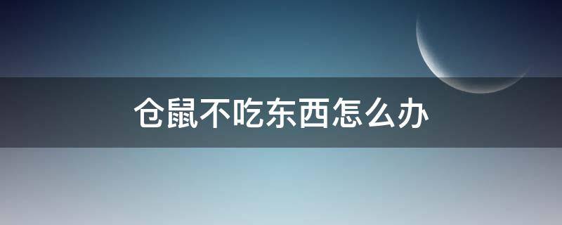 仓鼠不吃东西怎么办（刚买回家的仓鼠不吃东西怎么办）