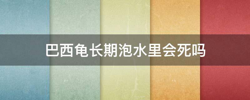 巴西龟长期泡水里会死吗（巴西龟一直泡在水里会死吗）