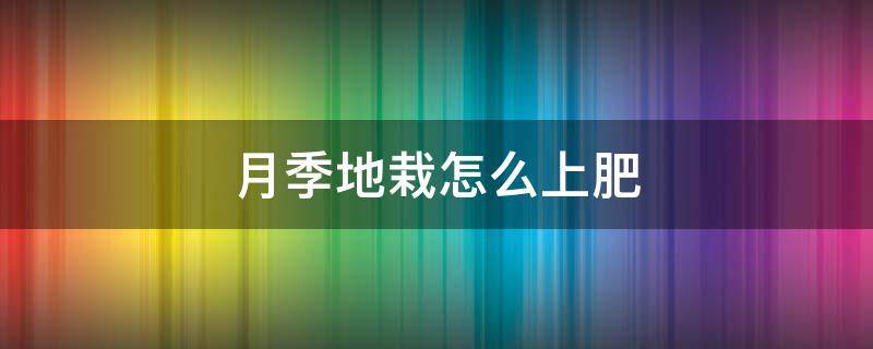 月季地栽怎么上肥（月季地栽用什么肥）