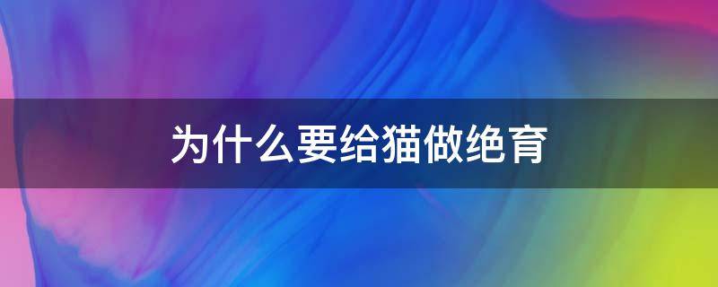 为什么要给猫做绝育 为什么要给猫做绝育 不去配种