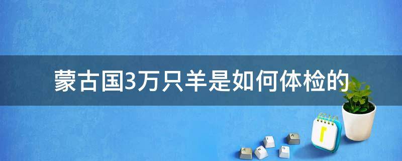 蒙古国3万只羊是如何体检的 蒙古国人均多少只羊