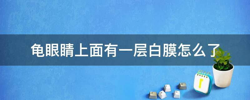 龟眼睛上面有一层白膜怎么了 小龟眼睛上面有一层白膜