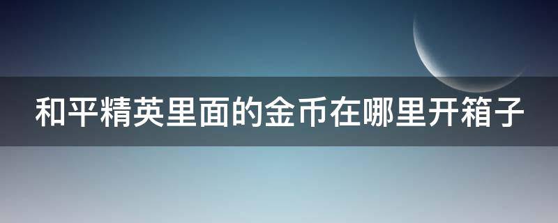 和平精英里面的金币在哪里开箱子 和平精英金币开箱在哪儿