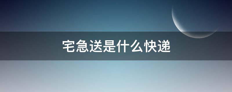 宅急送是什么快递（宅急送是什么快递快不快）