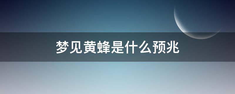 梦见黄蜂是什么预兆（梦见大黄蜂是什么预兆）