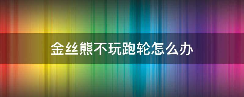 金丝熊不玩跑轮怎么办 金丝熊不喜欢跑轮怎么办