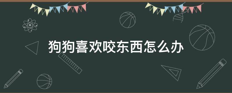 狗狗喜欢咬东西怎么办（一个月的狗狗喜欢咬东西怎么办）