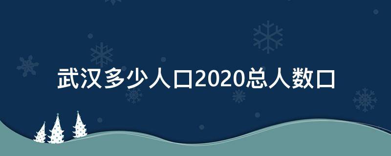 武汉多少人口2020总人数口（武汉有多少人口2020总人口有）