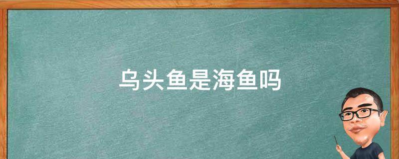 乌头鱼是海鱼吗 乌头鱼是海鱼吗?