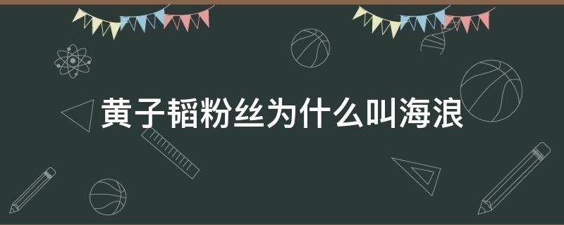 黄子韬粉丝为什么叫海浪 黄子韬粉丝为啥叫海浪