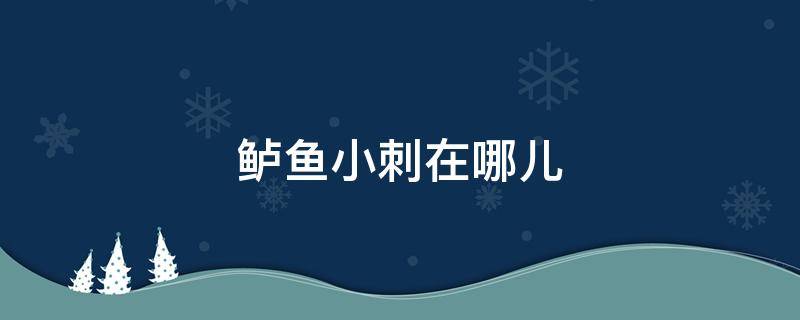 鲈鱼小刺在哪儿 鲈鱼的哪个部位有刺