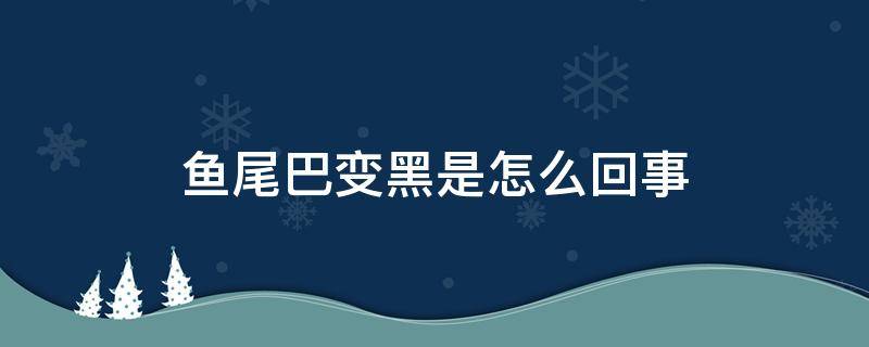 鱼尾巴变黑是怎么回事 迷你鹦鹉鱼尾巴变黑是怎么回事