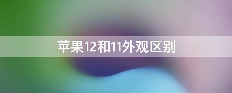 苹果12和11外观区别 苹果12和11外观区别在哪里