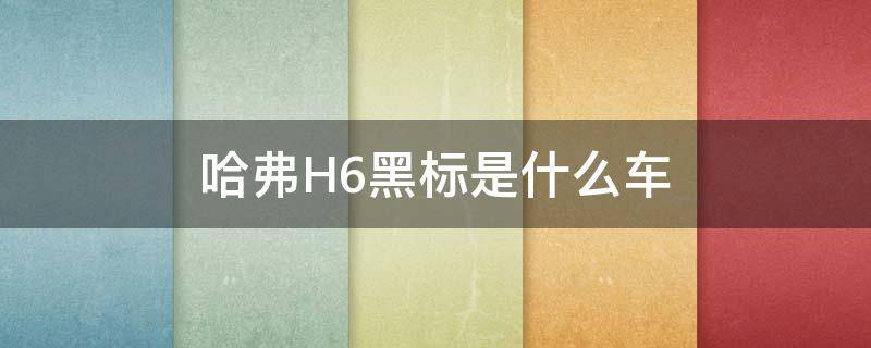 哈弗H6黑标是什么车（哈佛h6有黑标的车吗）