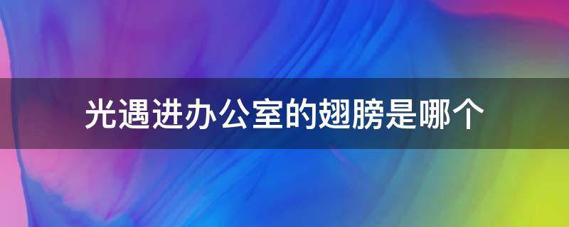 光遇进办公室的翅膀是哪个 光遇办公室有几个光翼