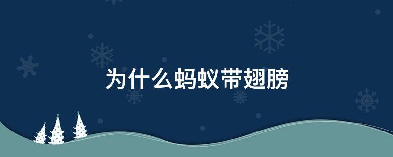 为什么蚂蚁带翅膀 为什么有的蚂蚁带翅膀