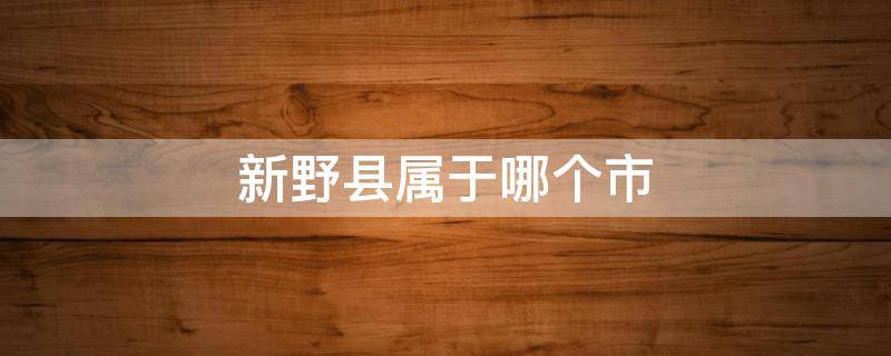 新野县属于哪个市（古代新野县属于哪个市）