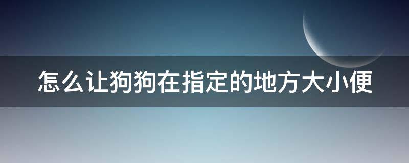 怎么让狗狗在指定的地方大小便（狗狗训练18个口令手势图解）