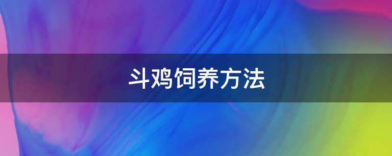 斗鸡饲养方法（斗鸡养殖技术和训练方法）