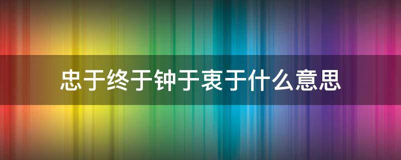 忠于终于钟于衷于什么意思（忠于 衷于 钟于 终于什么意思）