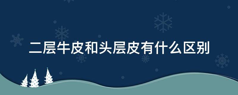 二层牛皮和头层皮有什么区别 二层牛皮跟头层的区别