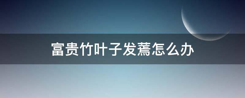 富贵竹叶子发蔫怎么办 富贵竹叶子发蔫了怎么办