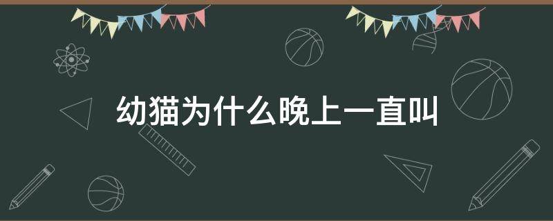 幼猫为什么晚上一直叫 幼猫每天晚上都叫