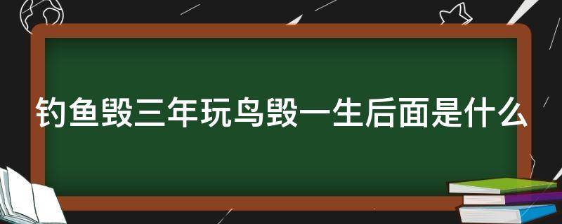 钓鱼毁三年玩鸟毁一生后面是什么（钓鱼毁三年玩鸟毁一生玩石头会怎样）