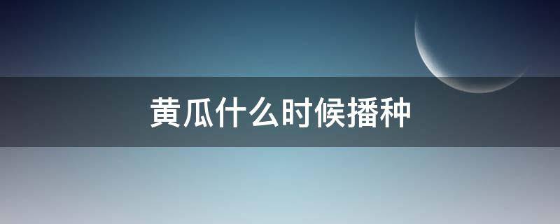 黄瓜什么时候播种（黄瓜什么时候播种最好）