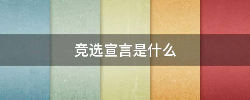 竞选宣言是什么（竞选宣言是啥）