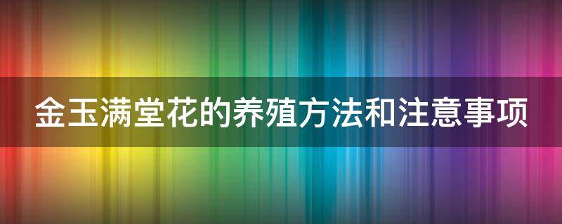 金玉满堂花的养殖方法和注意事项（金玉满堂花的养殖方法和注意事项视频）