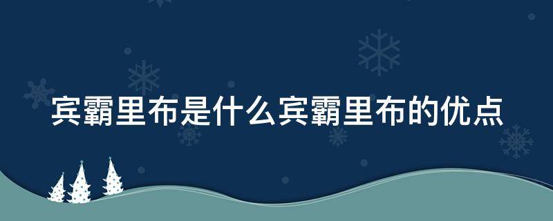 宾霸里布是什么宾霸里布的优点（宾霸里布的缺点）