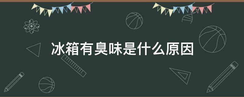 冰箱有臭味是什么原因 冰箱出现臭味