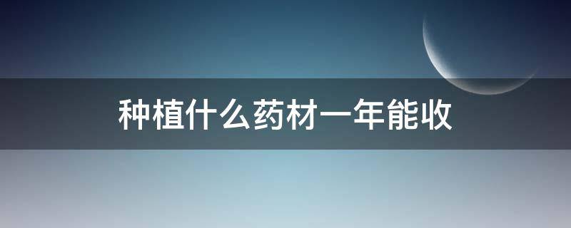 种植什么药材一年能收 一年收的药材种植