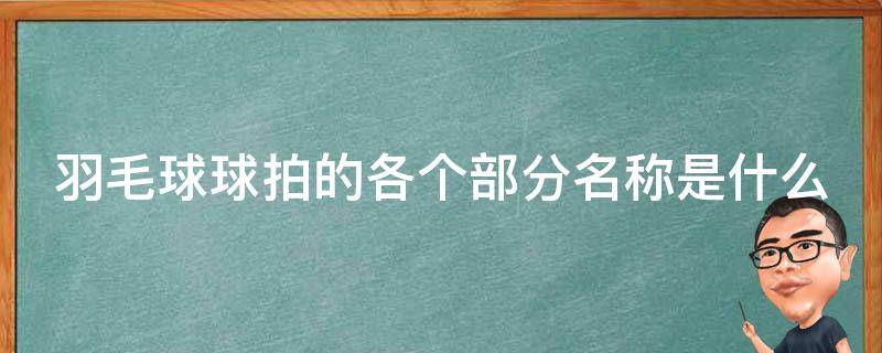 羽毛球球拍的各个部分名称是什么 羽毛球球拍的各个部分名称是什么意思