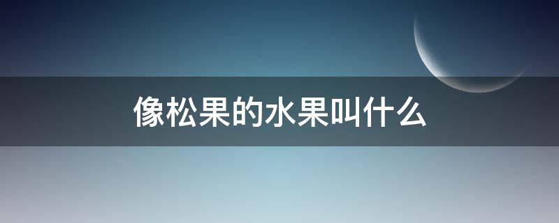 像松果的水果叫什么 像松子一样的水果是什么水果