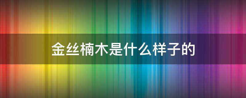 金丝楠木是什么样子的 金丝楠木是什么样子的?