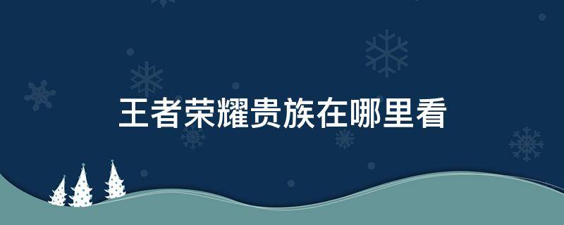 王者荣耀贵族在哪里看（王者荣耀贵族在哪里看积分）