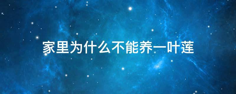 家里为什么不能养一叶莲 家里能不能养一叶莲