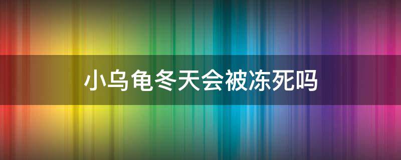 小乌龟冬天会被冻死吗 小乌龟会冻死吗?