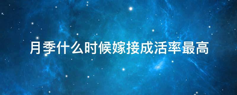 月季什么时候嫁接成活率最高（月季什么时候嫁接成活率最高嫁后怎么养护管理）