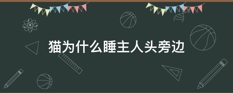 猫为什么睡主人头旁边 猫喜欢睡在主人的头的旁边