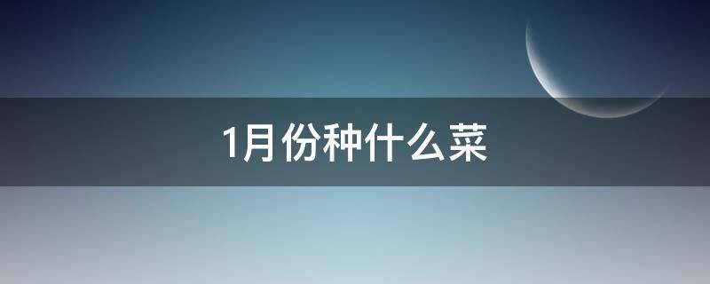 1月份种什么菜（1月份种什么菜蔬菜最合适）