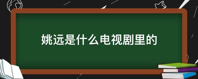 姚远是什么电视剧里的（姚远是谁演的）