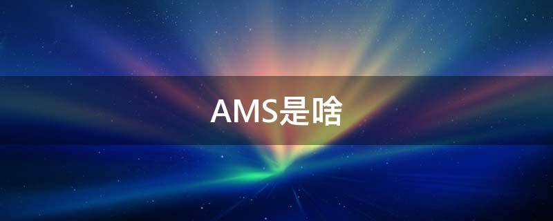 AMS是啥（ams是哪）