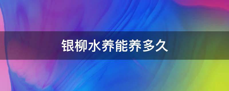 银柳水养能养多久（银柳放水养可以养多久）