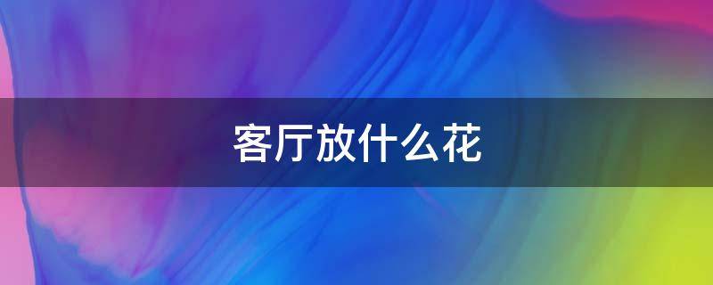 客厅放什么花 客厅放什么花好招财又聚财呢