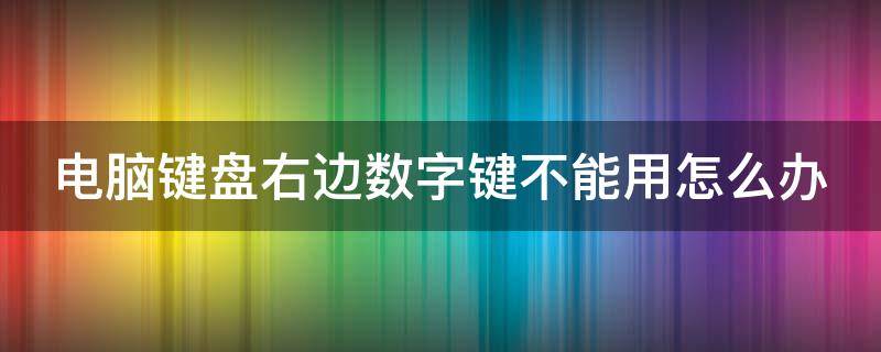 电脑键盘右边数字键不能用怎么办 电脑键盘右边数字键不能用怎么办Numlock灯亮着的